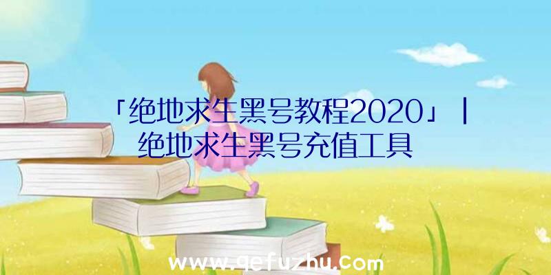 「绝地求生黑号教程2020」|绝地求生黑号充值工具